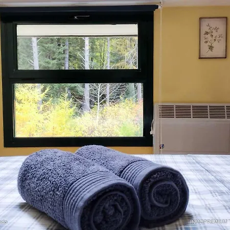 Apartament Abeto Rojo - Inmopremium Turistico *